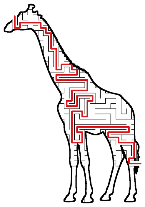 Solved Giraffe maze, the way through marked in red