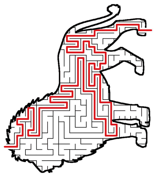 Solved Lion maze, the way through marked in red