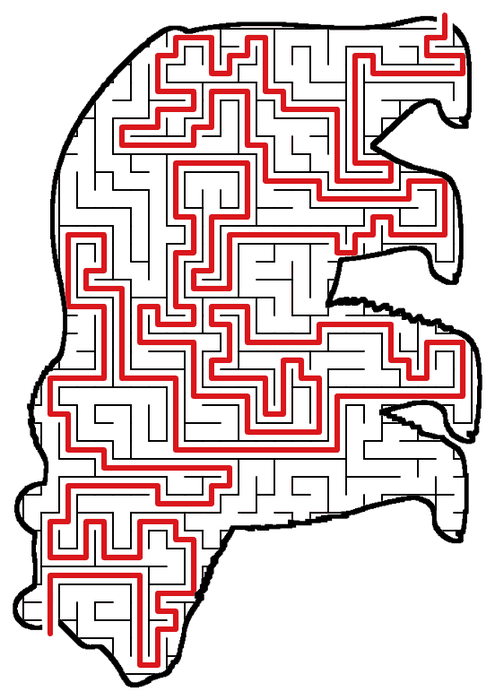 Solved Bear maze, the way through marked in red