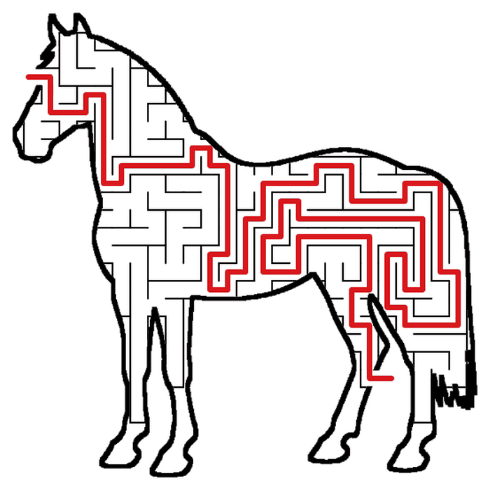 Solved Horse maze, the way through marked in red