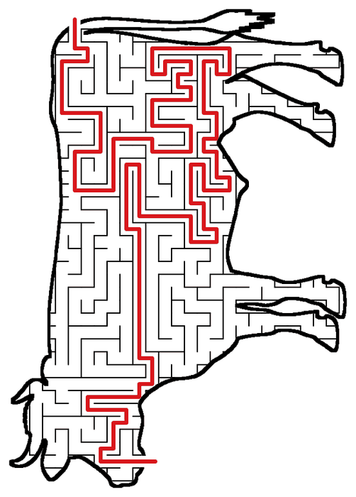 Solved Cow maze, the way through marked in red