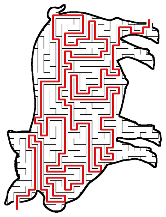 Solved Pig maze, the way through marked in red
