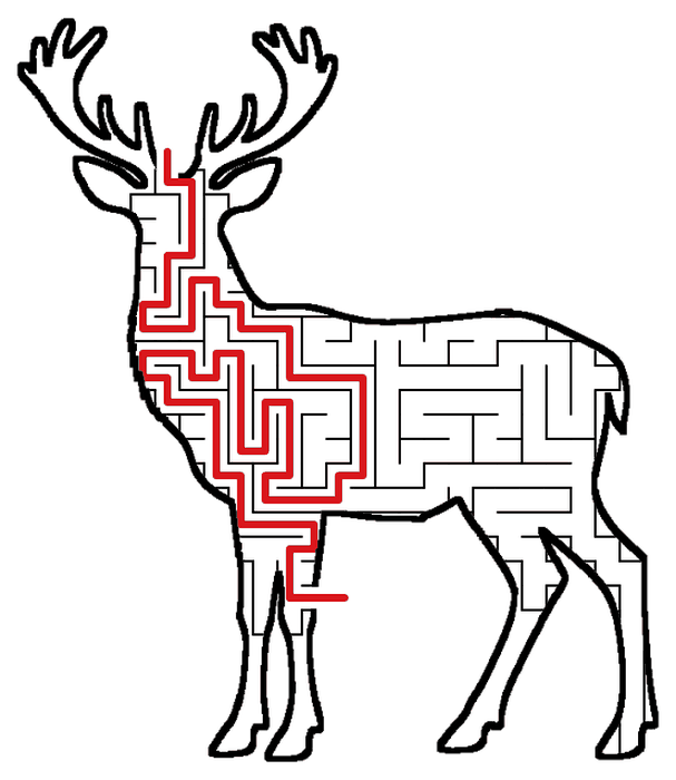 Solved Deer maze, the way through marked in red