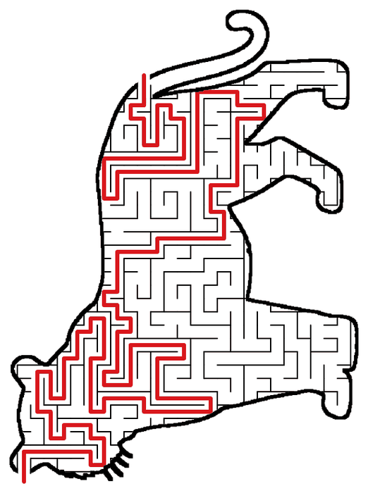 Solved Tiger maze, the way through marked in red