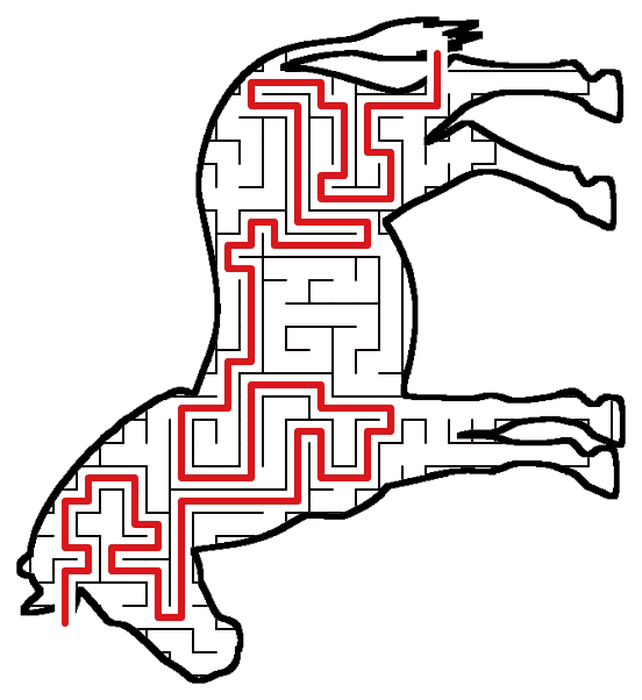 Solved Zebra maze, the way through marked in red