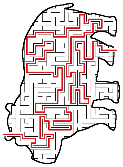 Solved Hippo maze, the way through marked in red