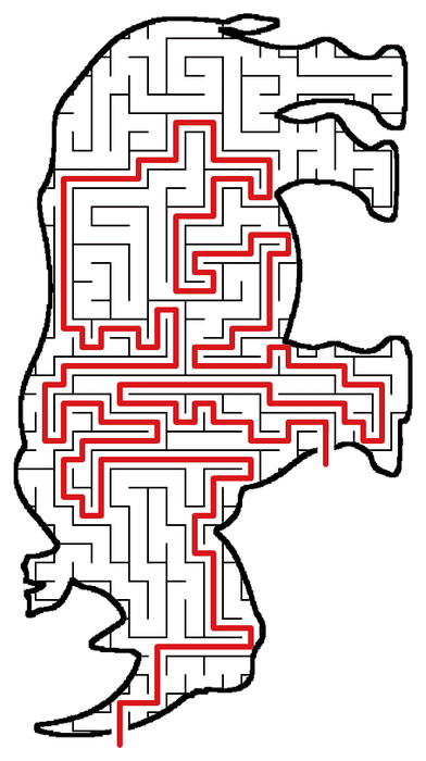 Solved Rhino maze, the way through marked in red