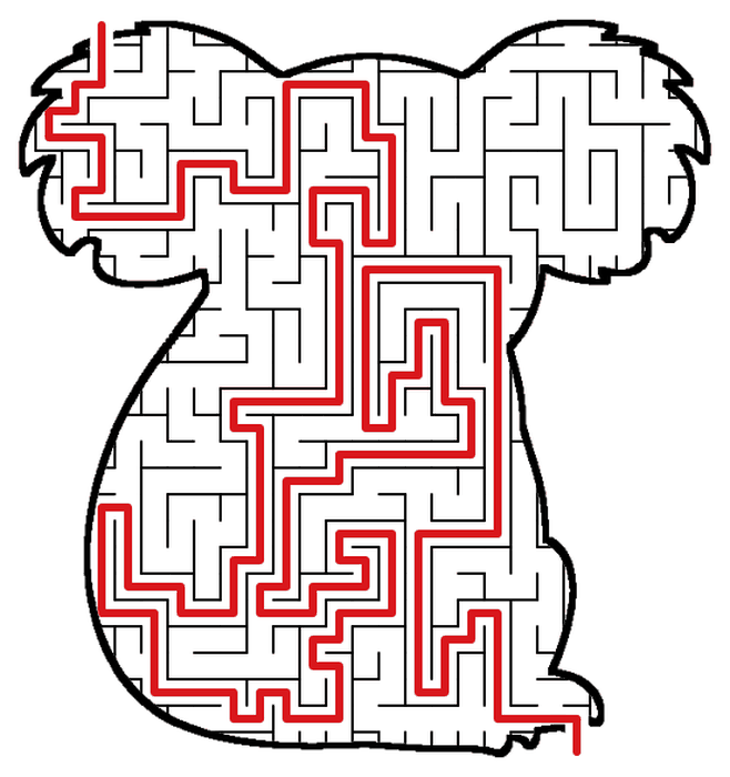 Solved Koala maze, the way through marked in red