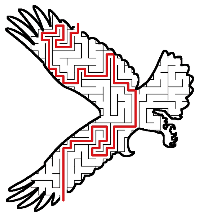 Solved Eagle maze, the way through marked in red