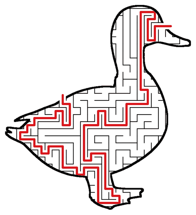 Solved Duck maze, the way through marked in red