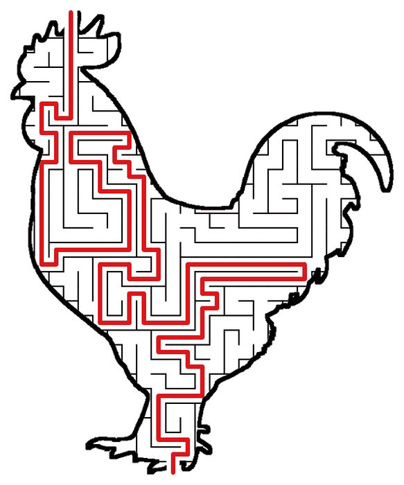 Solved Rooster maze, the way through marked in red