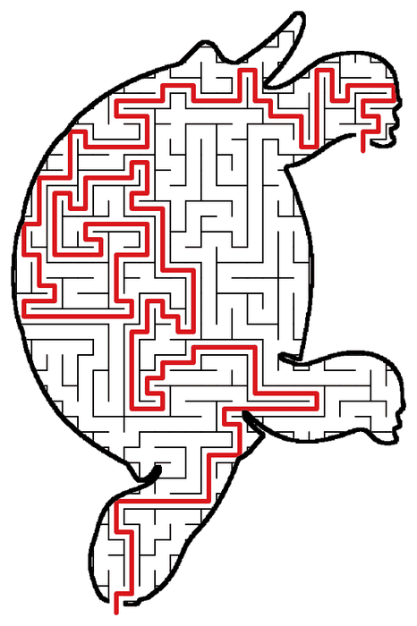 Solved Turtle maze, the way through marked in red