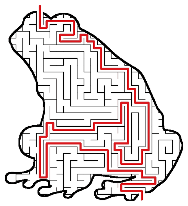 Solved Frog maze, the way through marked in red