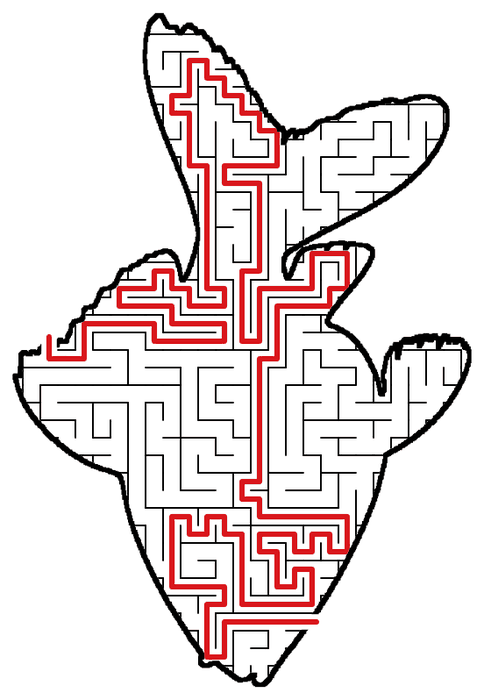 Solved Goldfish maze, the way through marked in red