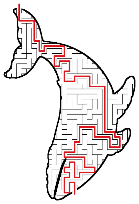 Solved Whale maze, the way through marked in red