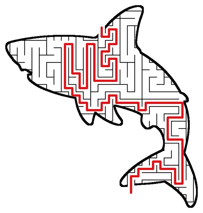 Solved Shark maze, the way through marked in red