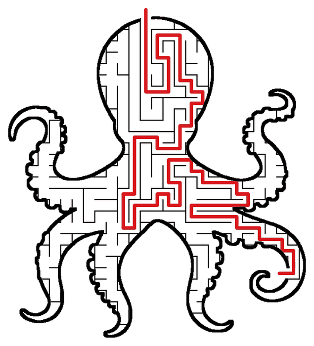 Solved Octopus maze, the way through marked in red