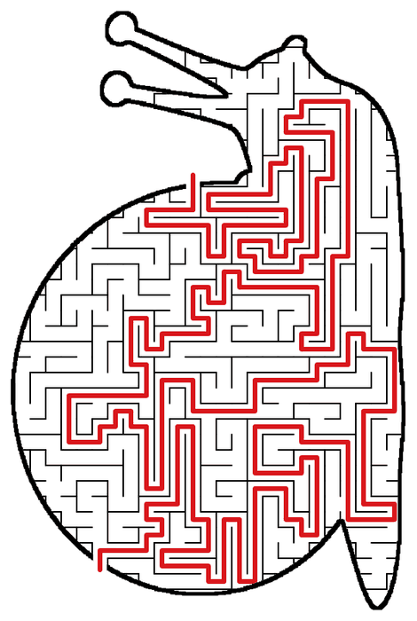 Solved Snail maze, the way through marked in red