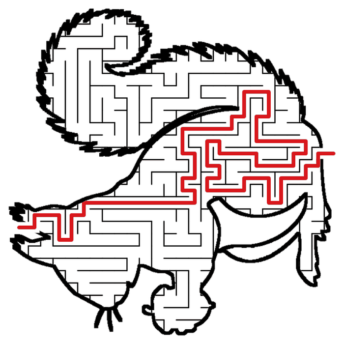 Solved Squirrel maze, the way through marked in red
