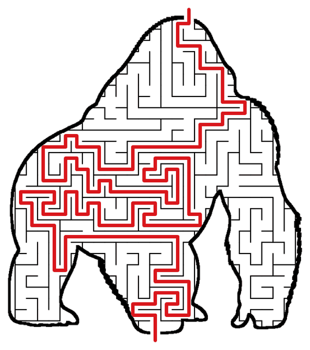 Solved Gorilla maze, the way through marked in red