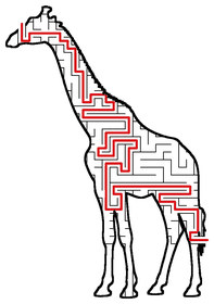 Solved Giraffe maze