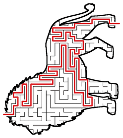 Solved Lion maze
