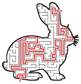 Solved Rabbit maze