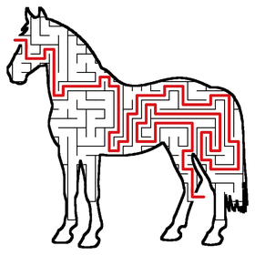 Solved Horse maze