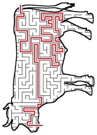Solved Cow maze
