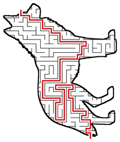 Solved Wolf maze