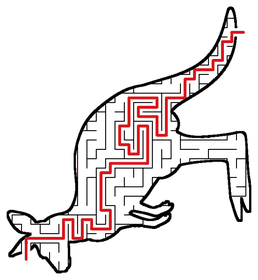 Solved Kangaroo maze