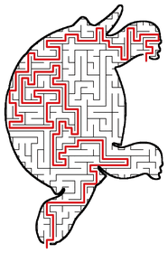 Solved Turtle maze