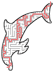 Solved Dolphin maze