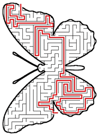 Solved Butterfly maze