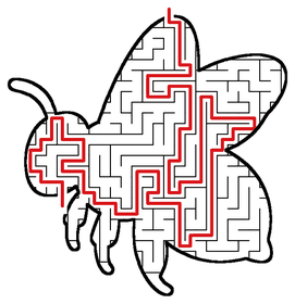 Solved Bee maze