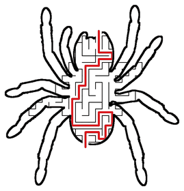 Solved Spider maze