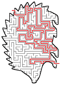 Solved Hedgehog maze