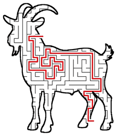 Solved Goat maze