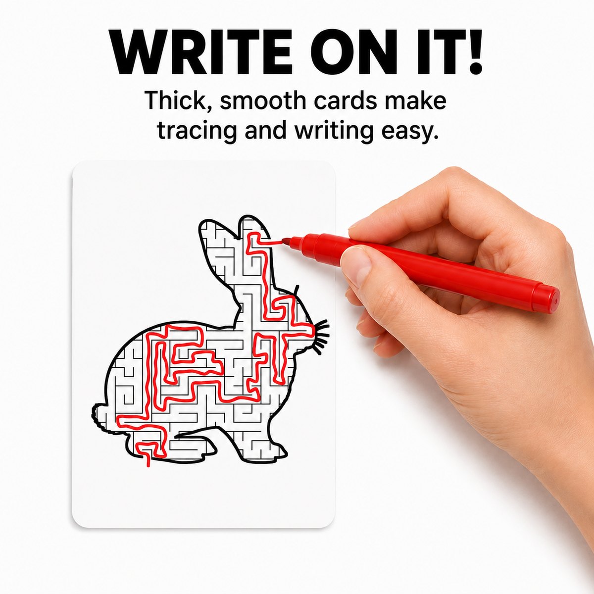 A red pen tracing the solved path through the rabbit maze